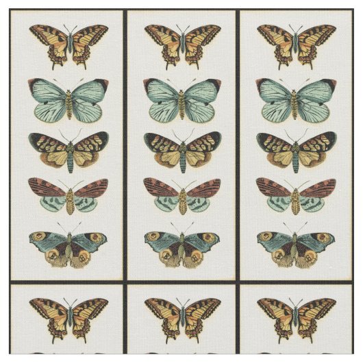 Butterfly Collection von Chariklia Zarris Stoff (Nahaufnahme)