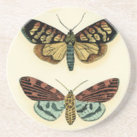 Butterfly Collection von Chariklia Zarris