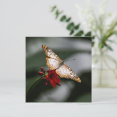 Butterfly Danke (Stehend Vorderseite)