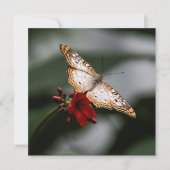 Butterfly Danke (Vorderseite)