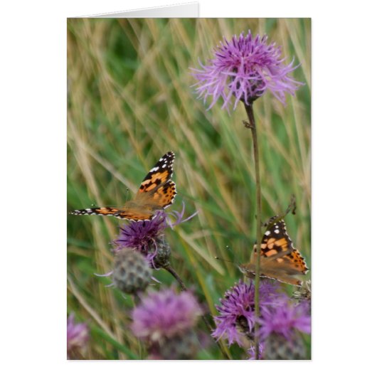 Butterfly Dream Card (Vorne)