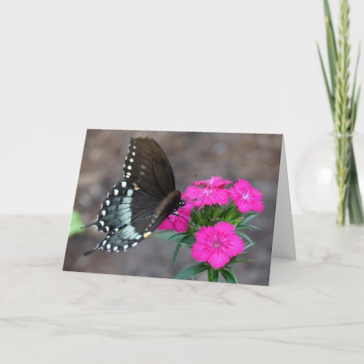 Butterfly Dreaming Karte (Vorderseite)