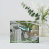 Butterfly Emerald Peacock Frack Nr. 6 Postkarte (Stehend Vorderseite)