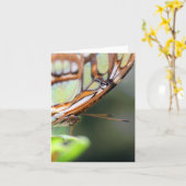 Butterfly Face Nature Photography Note Karte (Gelbe Blume)