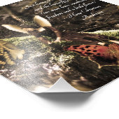 Butterfly Fairy Hans Anderson Quote Foto Print (Ecke)