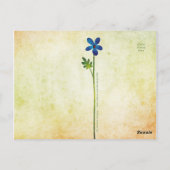 Butterfly Fairy Postcard Postkarte (Rückseite)