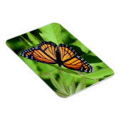 Butterfly-flexibler Magnet (Rechte Seite)