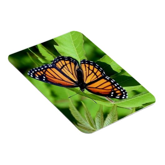 Butterfly-flexibler Magnet (Rechte Seite)