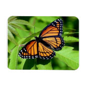 Butterfly-flexibler Magnet (Horizontal)