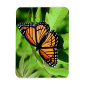 Butterfly-flexibler Magnet (Vertikal)