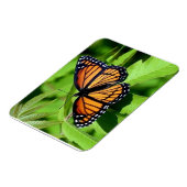 Butterfly-flexibler Magnet (Linke Seite)