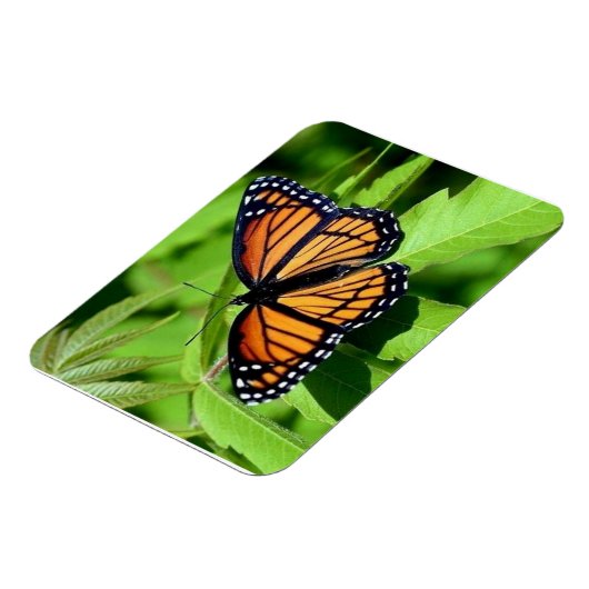 Butterfly-flexibler Magnet (Linke Seite)