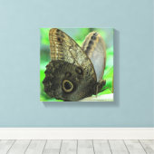Butterfly Floral Canvas Print Leinwanddruck (Insitu (Holzboden))