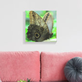 Butterfly Floral Canvas Print Leinwanddruck (Insitu (Wohnzimmer))