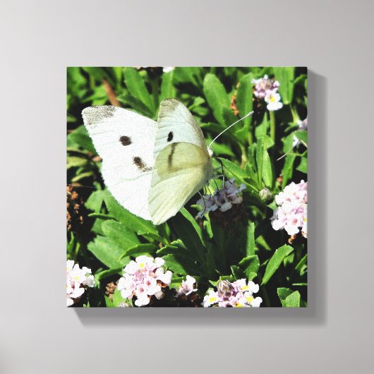 Butterfly Floral Canvas Print Leinwanddruck (Vorderseite)