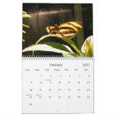 Butterfly-Foto Kalender (Feb 2027)