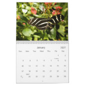 Butterfly-Foto Kalender (Jan 2027)
