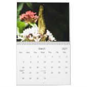 Butterfly-Foto Kalender (Mär 2027)