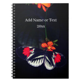 Butterfly-Foto Notizblock
