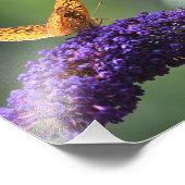 Butterfly Foto Print (Ecke)