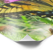 Butterfly Foto Print (Ecke)