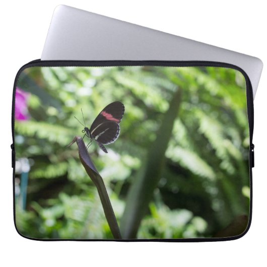 Butterfly-Fotografie Laptopschutzhülle (Vorderseite)