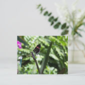 Butterfly-Fotografie Postkarte (Stehend Vorderseite)