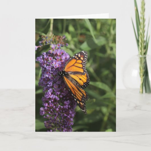 Butterfly-Fotokarte Karte (Vorderseite)