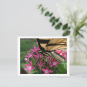 Butterfly Fütternd Makro-Postkarte Postkarte (Stehend Vorderseite)
