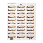 Butterfly Garden Baby Dusche Rücksendeadresse (Vorne)