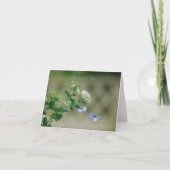 Butterfly Garden Grußkarte Karte (Vorderseite)