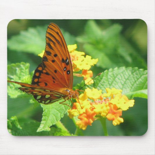 Butterfly Garden Mousepad (Vorne)