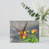 Butterfly Garden Postkarte (Stehend Vorderseite)
