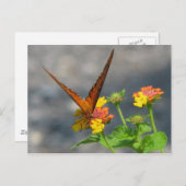 Butterfly Garden Postkarte (Vorne/Hinten)