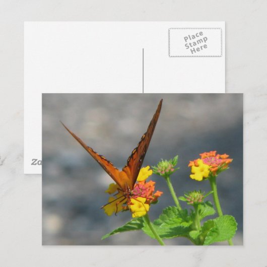 Butterfly Garden Postkarte (Vorne/Hinten)