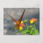 Butterfly Garden Postkarte (Vorderseite)