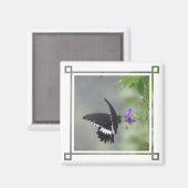 Butterfly Garden Square Magnet (Vorderseite/Rückseite)
