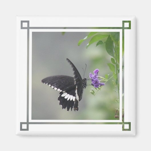 Butterfly Garden Square Magnet (Vorne)