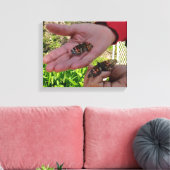Butterfly Garden Wrapped Canvas Leinwanddruck (Insitu (Wohnzimmer))