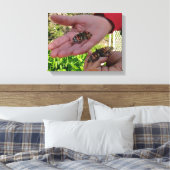 Butterfly Garden Wrapped Canvas Leinwanddruck (Insitu (Schlafzimmer))