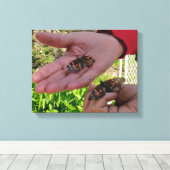 Butterfly Garden Wrapped Canvas Leinwanddruck (Insitu (Holzboden))