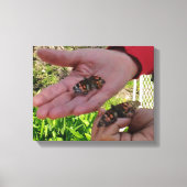Butterfly Garden Wrapped Canvas Leinwanddruck (Vorderseite)