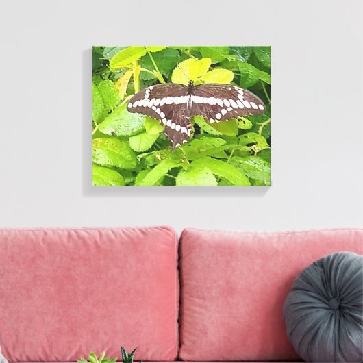 Butterfly Garden Wrapped Canvas Leinwanddruck (Insitu (Wohnzimmer))