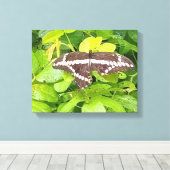 Butterfly Garden Wrapped Canvas Leinwanddruck (Insitu (Holzboden))