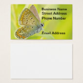 Butterfly Gazing Business Card (Vorne & Hinten)