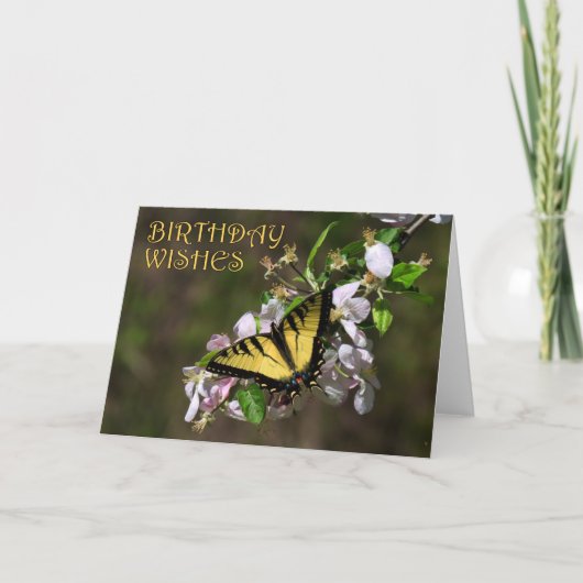 Butterfly Geburtstag 1 Karte (Vorderseite)