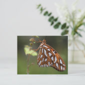 Butterfly Gulf Fritillary Passion Orange Gepunktet Postkarte (Stehend Vorderseite)