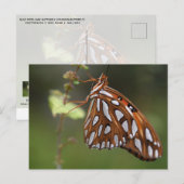 Butterfly Gulf Fritillary Passion Orange Gepunktet Postkarte (Vorne/Hinten)