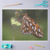 Butterfly Gulf Fritillary Passion Orange Green Seidenpapier (Basteln)