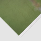 Butterfly Gulf Fritillary Passion Orange Green Seidenpapier (Ausschnitt)